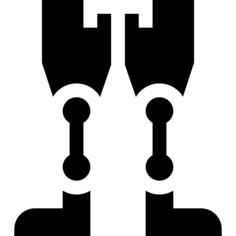 Prothesis