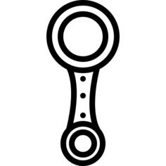 Mitosis