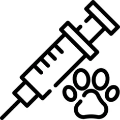 Syringe