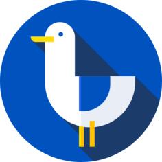 Seagull