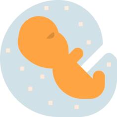 Embryo