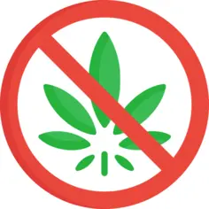 Marijuana
