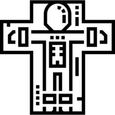 人体解剖