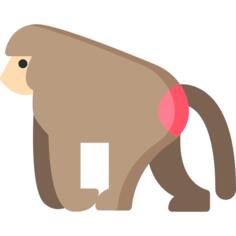 狒狒