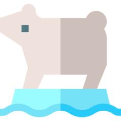 Polar bear