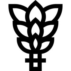桦木拂尘