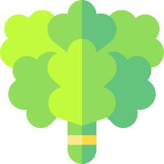 Oak