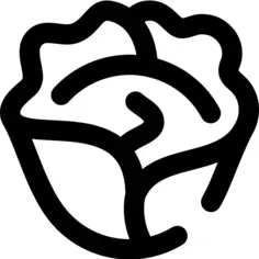 卷心菜