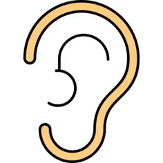Ear