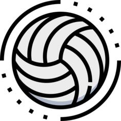 Volleyball