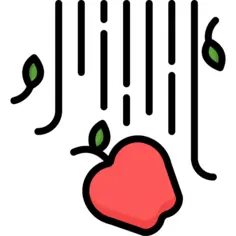 苹果