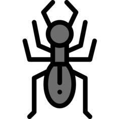 Ant
