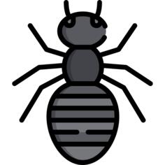 Ant