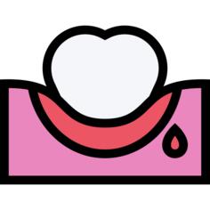 齿