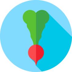Radish