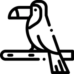 Toucan