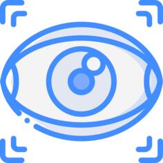 眼睛扫描