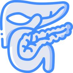 Pancreas