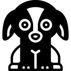 Puppy