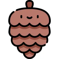 Pine cone