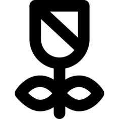 玫瑰