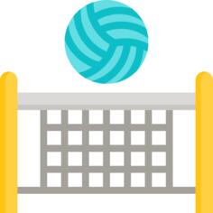 Volleyball