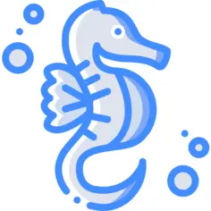 海马