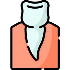 Premolar