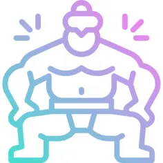 Sumo