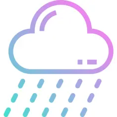 雨