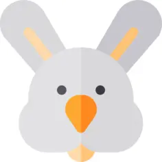 Arctic hare