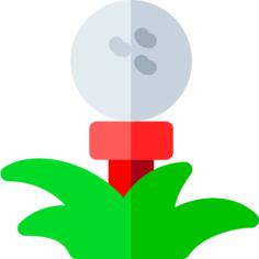 Golf ball