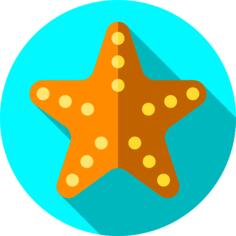 海星