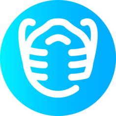 Medical mask