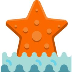 海星