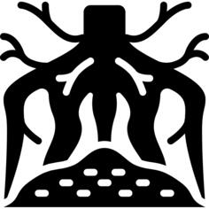 Root