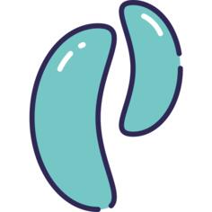 菌
