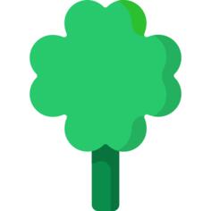 Clover
