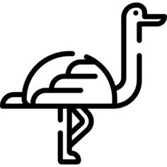 Ostrich