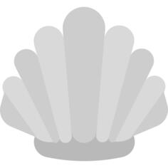 Scallop