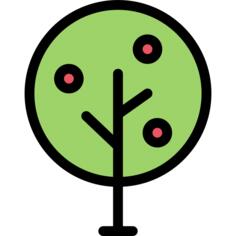 Apple tree