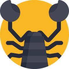 蝎