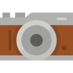 Mirrorless