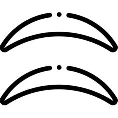 眼皮