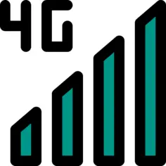 4g