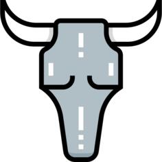 Bull skull