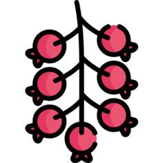 Berries