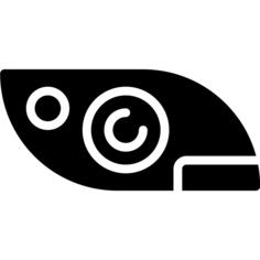 Car light
