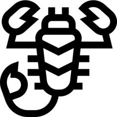 蝎