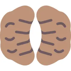坚果